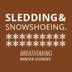 Sledding and snowshoeing